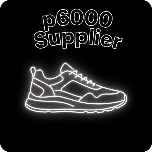 p6000 Supplier